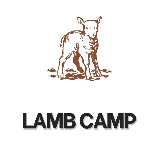 Picture of Lamb Camp Sponsor / Parent Only